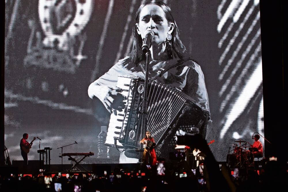 © Abril Angulo© Abril Angulo