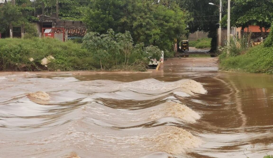 Foto: Roselia Chaca/ EL UNIVERSAL