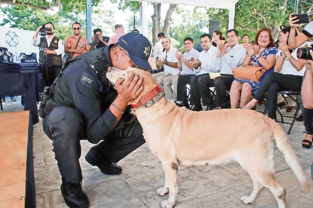 La perra de raza labrador fue entregada a una fundación para ser adoptada. (FOTO: CUAUHTÉMOC MORENO. EL UNIVERSAL)
