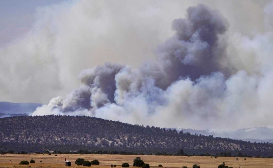 Los bomberos desaceleraron el avance del mayor incendio forestal en los EE. UU. Foto: AP