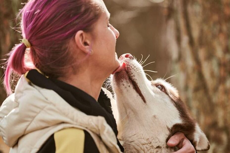Estudio revela el impacto positivo de interactuar con perros en la salud mental. Fuente: Freepik.