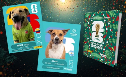 Campaña de adopción de perritos inspirada en estampas del Mundial 2026 se viraliza; así es la propuesta