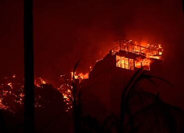 Incendios en Los Ángeles: decretan toque de queda nocturno en áreas afectadas; “puedes ser arrestado”, alertan