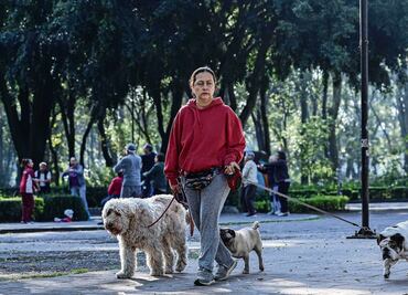 A cinco meses de la creación del Padrón de Paseadores de Perros, sólo 18 personas se han registrado