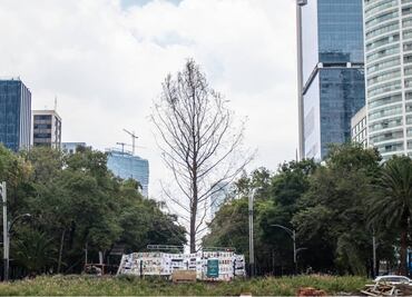 Cambios y adaptaciones (Columna Félix)