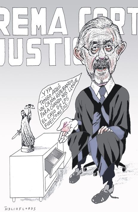 Cartón de HELIOFLORES