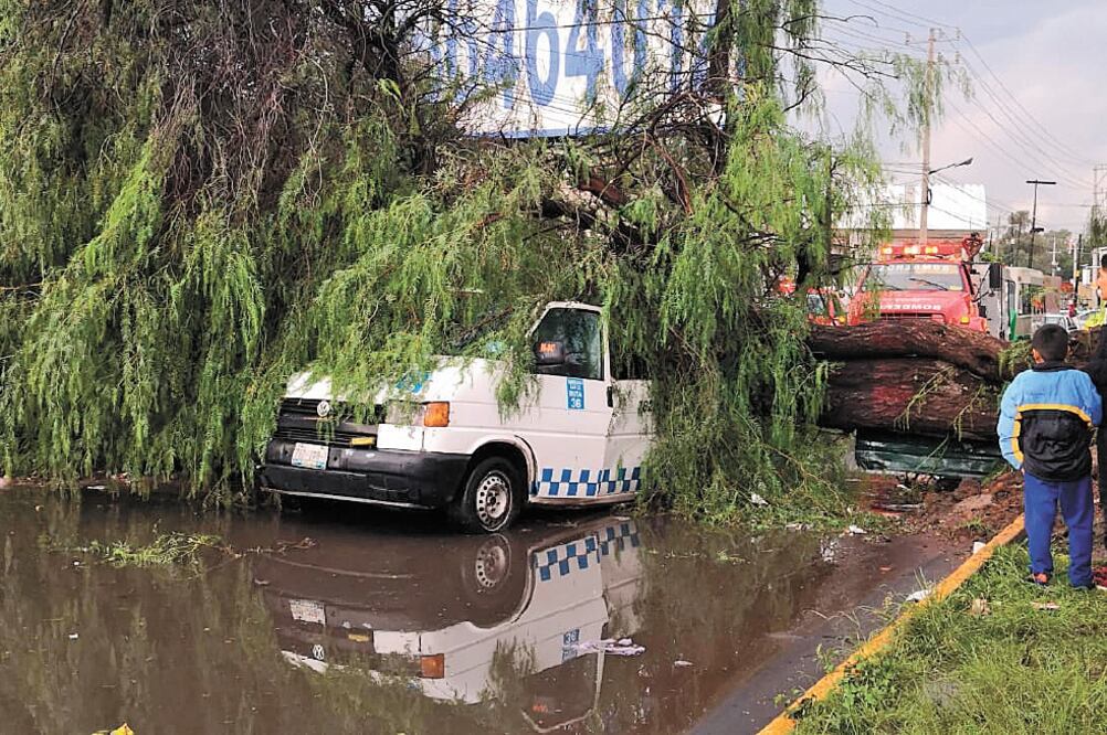 Las fuertes lluvias registradas la tarde de ayer provocaron la caída de un árbol sobre una combi que circulaba en la carretera federal México-Puebla. Foto: ESPECIAL