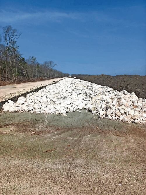Las expropiaciones son en favor de la empresa Fonatur Tren Maya, S.A. de C.V. Foto: Archivo / EL UNIVERSAL