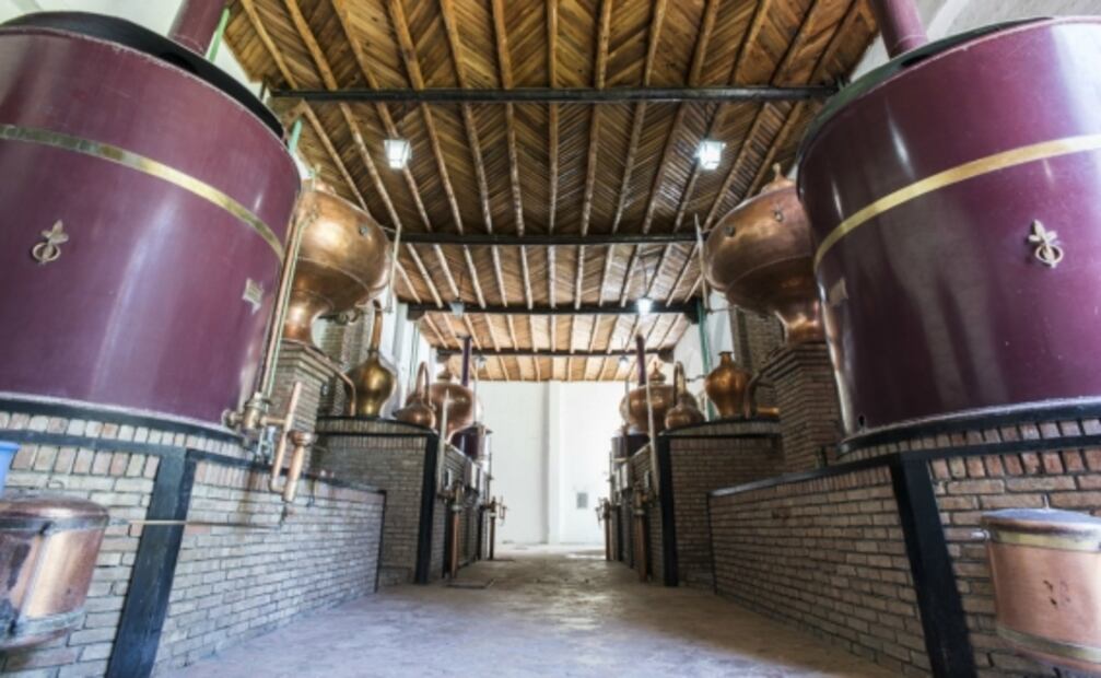 Qué hacer en el Pueblo Mágico de Parras