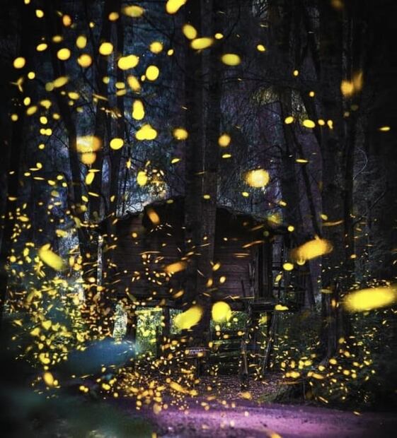 Maravillas naturales que puedes visitar en Tlaxcala