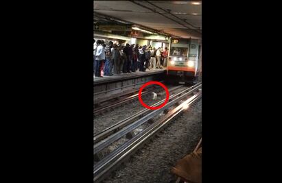 Video. Perrito corre para no ser arrollado por convoy del Metro en Línea B