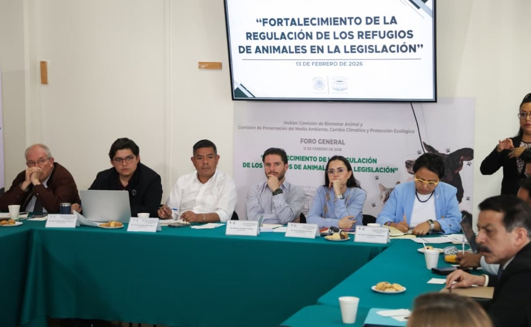 Legisladores analizan regulación de albergues; activistas exigen apoyo y penas más duras contra maltrato animal.
Foto: CARLOS MEJIA/EL UNIVERSAL