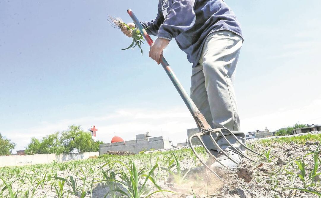 Sequia. Foto: Archivo/ EL UNIVERSAL.