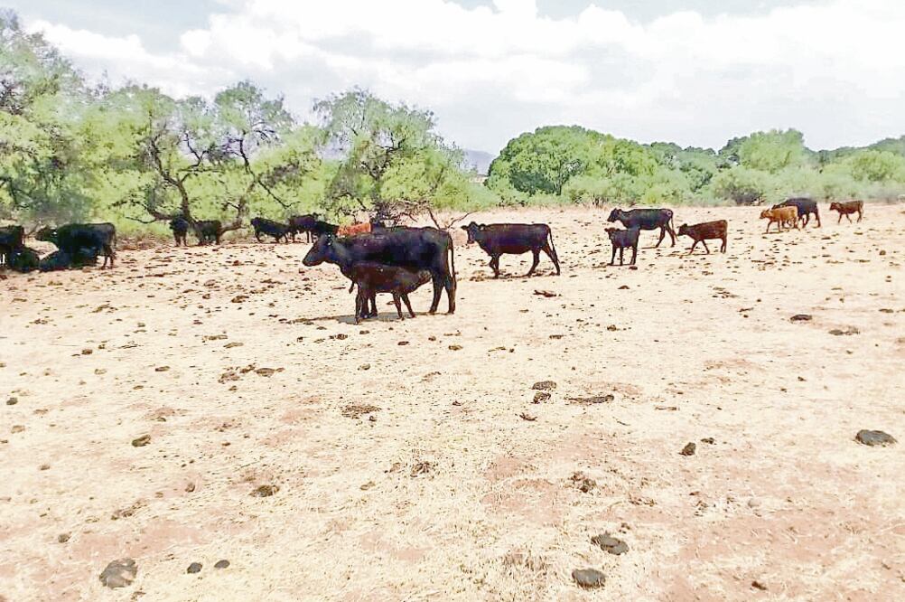 Las propiedades fueron adquiridas directamente por Duarte Jáquez durante su gubernatura, según las indagatorias (FISCALÍA DE CHIHUAHUA)
