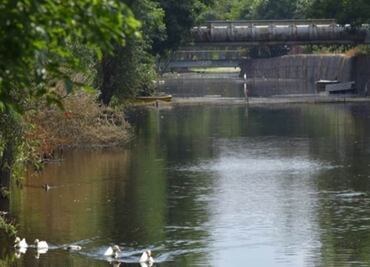 Gobierno de la CDMX declara área de valor ambiental al parque Canal Nacional