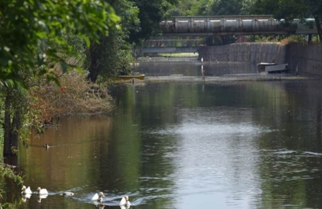 El decreto tiene el objetivo de garantizar a la población capitalina el derecho a un medio ambiente sano. Foto: Archivo