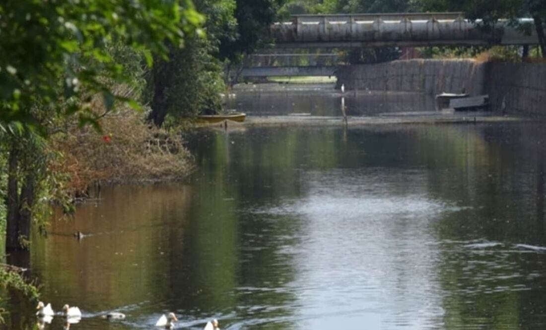 El decreto tiene el objetivo de garantizar a la población capitalina el derecho a un medio ambiente sano. Foto: Archivo