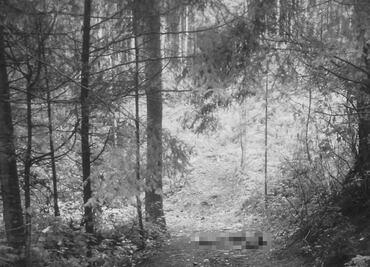 Hallan 4 cuerpos en un paraje del circuito del Ajusco, en Tlalpan