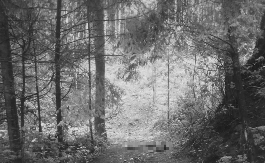 Foto: Archivo | EL UNIVERSAL