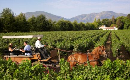 Caldos chilenos de vieja tradición con nueva perspectiva