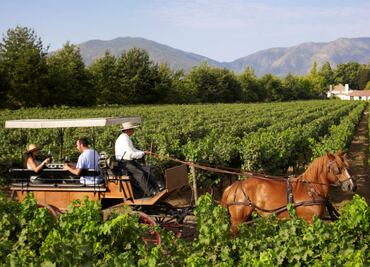 Caldos chilenos de vieja tradición con nueva perspectiva