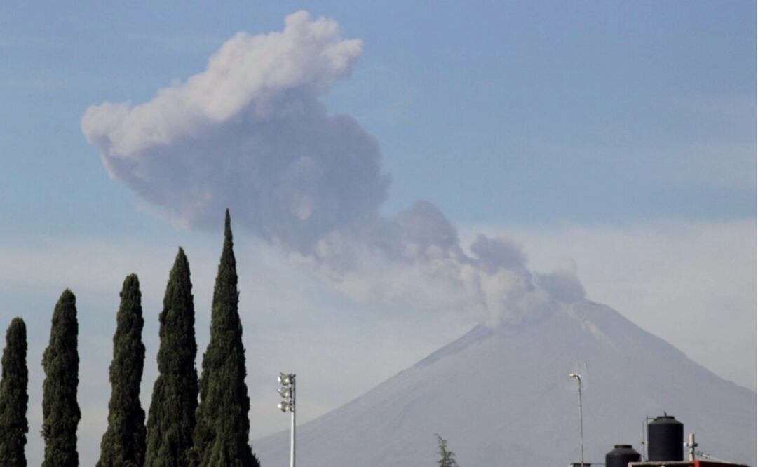 Omar Contreras / EL UNIVERSAL