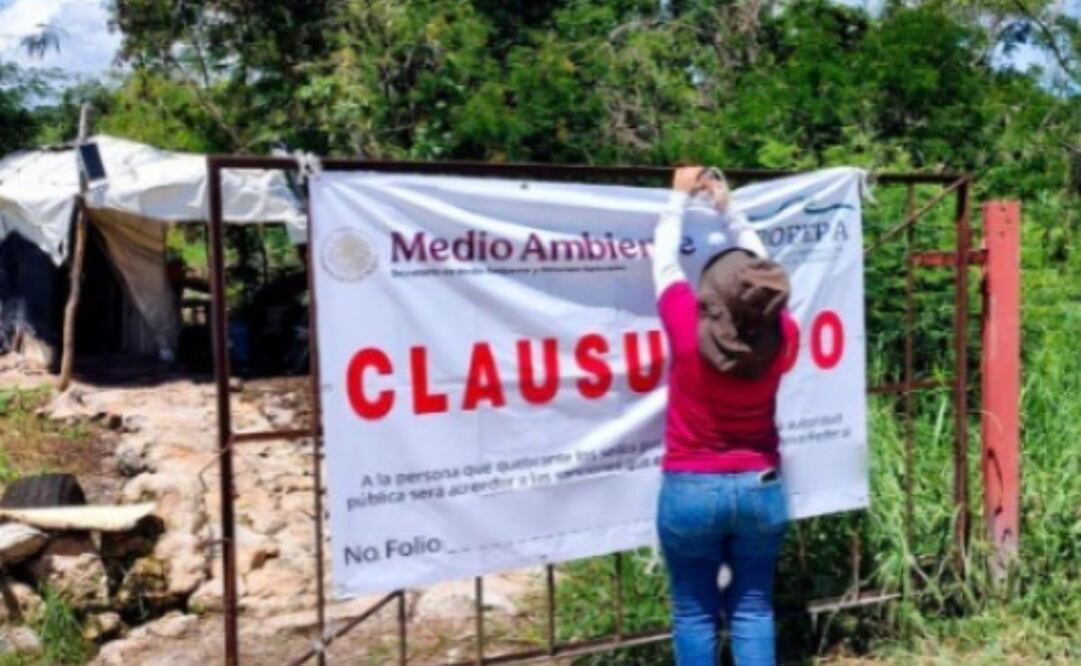 Clausuran de forma definitiva granja porcícola  en Yucatán (10/09/2025). Foto: Especial