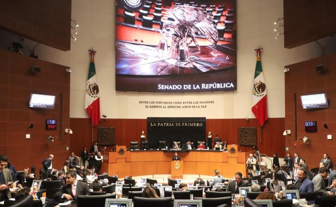 Foto: Canal del Congreso