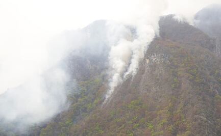 Incendios han consumido más de 12 mil hectáreas forestales en Nuevo León