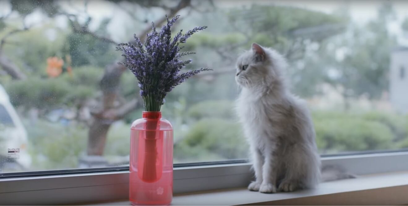 Florero extintor de incendios / Foto: Samsung