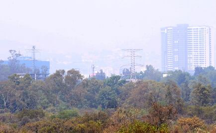 Persiste mala calidad del aire en Valle de México; registran 137 puntos en Tlalpan
