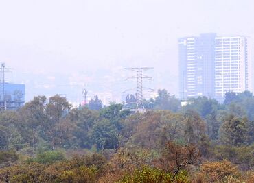 Persiste mala calidad del aire en Valle de México; registran 137 puntos en Tlalpan