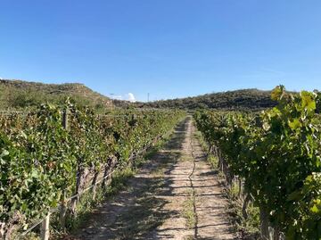 "No son criminales": dice Antonio Attolini sobre hombres que irrumpieron Casa Madero