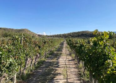 "No son criminales": dice Antonio Attolini sobre hombres que irrumpieron Casa Madero