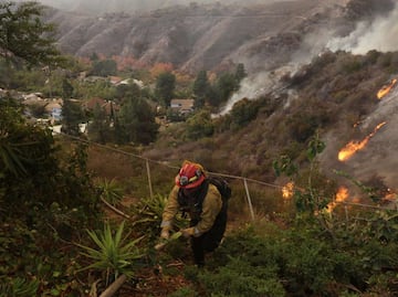 Incendios en Los Ángeles superan límites humanos de extinción, alerta FAO; pide centrar esfuerzos en prevención