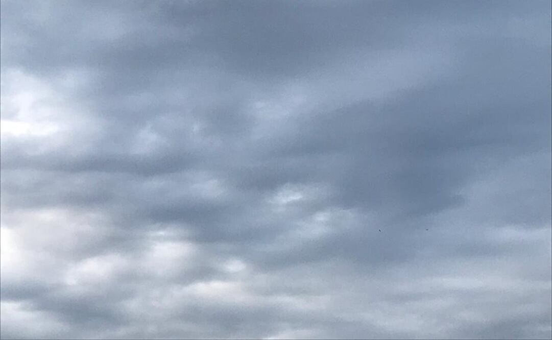 Foto: Edgar Tequianes. EL UNIVERSAL