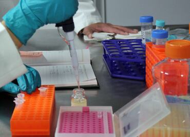 Crean un nuevo fármaco que evita la metástasis y reduce el tumor