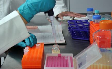 Crean un nuevo fármaco que evita la metástasis y reduce el tumor