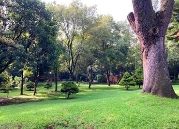Qué hacer en el Parque Ecológico Loreto y Peña Pobre de CDMX