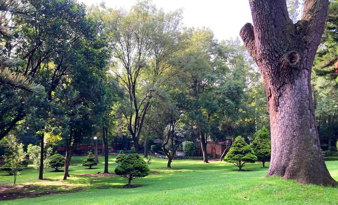 Foto: Secretaría de Turismo de la Ciudad de México