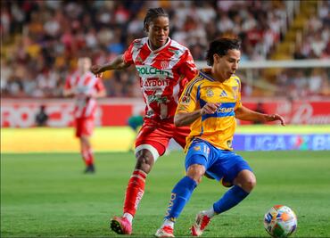 Liga MX: Horario y canales para ver EN VIVO Tigres vs Necaxa; este domingo 11 de mayo