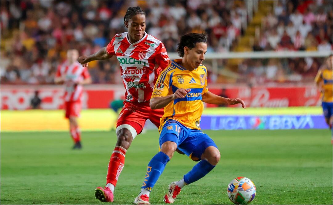 Conoce horario y canales para mirar en vivo Tigres vs Necaxa de la Liga MX de este domingo 11 de mayo / FOTO: Imago7