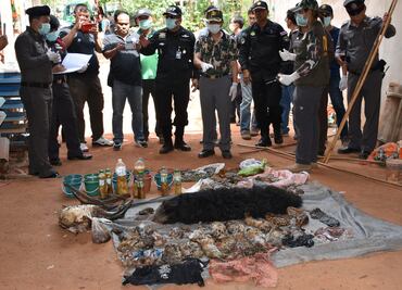 Hallan cuerpos de 40 crías de tigre en templo de Tailandia