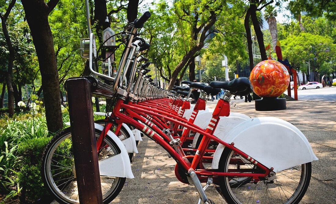La nueva ciclovía de la CDMX tiene una ruta acompañada árboles y mercados / Foto: Pixabay