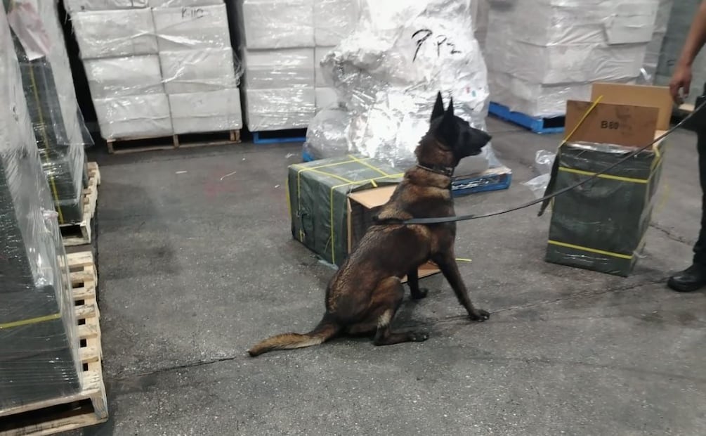 Semar asegura cigarros de procedencia ilícita en Aduana del AICM. Marzo 2026. Imagen: Especial.