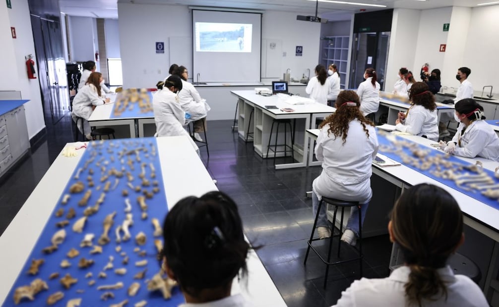 Especialistas de la UNAM brinda capacitación a personal pericial y buscadoras de personas desaparecidas.
Foto: Especial.