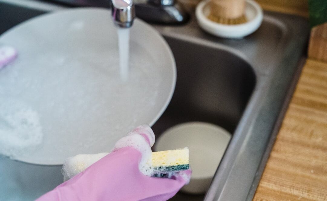 Las esponjas esconden muchas bacterias. Imagen: Pexels 