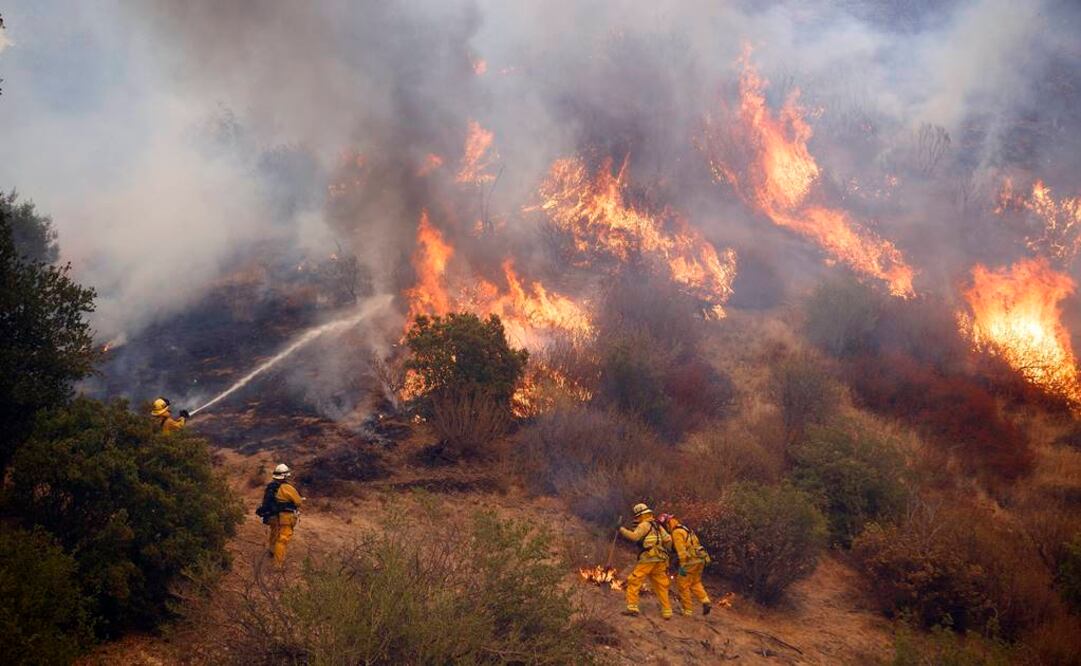 Fotografía de archivo en Santa Clarita, Estados Unidos, en julio de 2016. FOTO: Archivo EFE.
