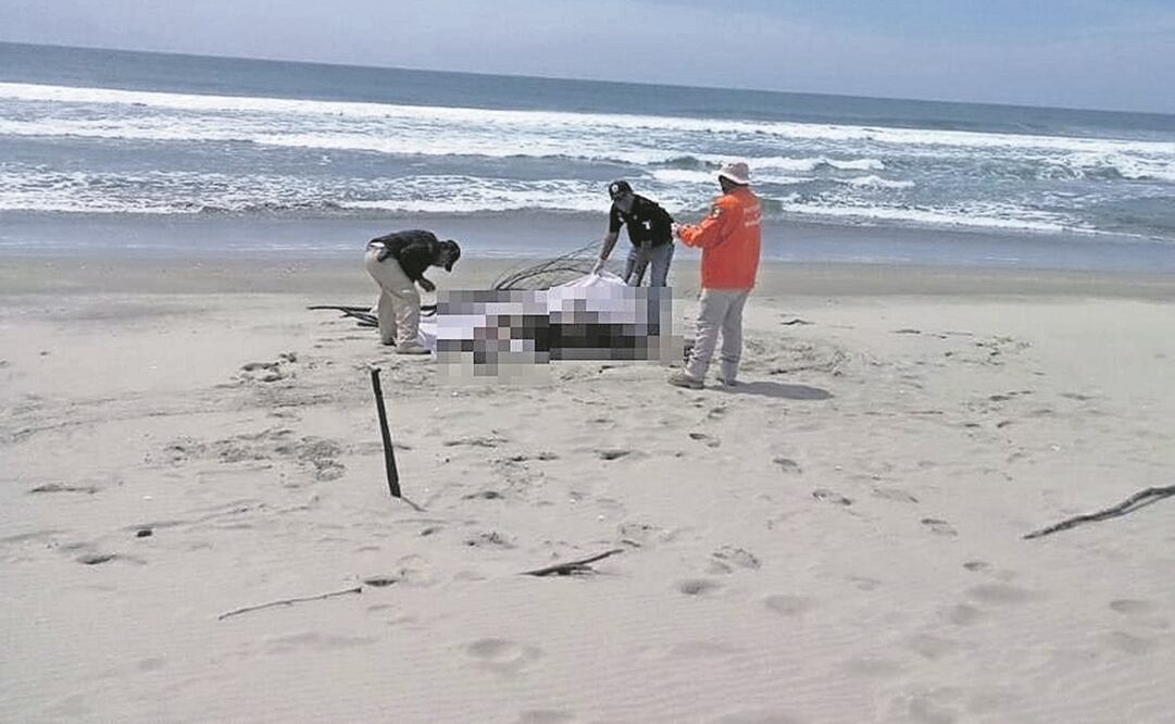 El naufragio ocurrió frente a Puerto Arista, que pertenece al municipio de Arriaga, Chiapas. Foto: Archivo / EL UNIVERSAL