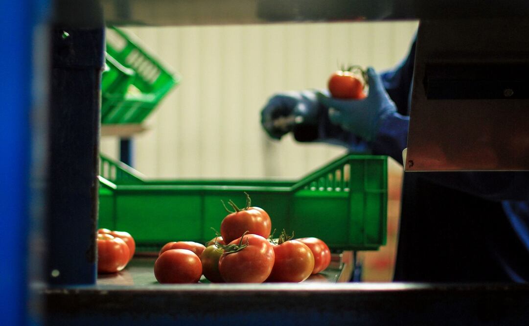 Foto: Archivo / EL UNIVERSAL 